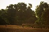 Kangaroos in the evening... - Dreamtime Australia: travel photography by Laurenz Bobke.